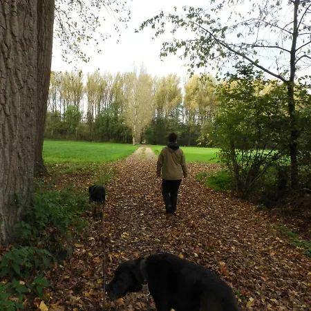 Διαμέρισμα Ferienwohnung Hahnenblick Waldfeucht