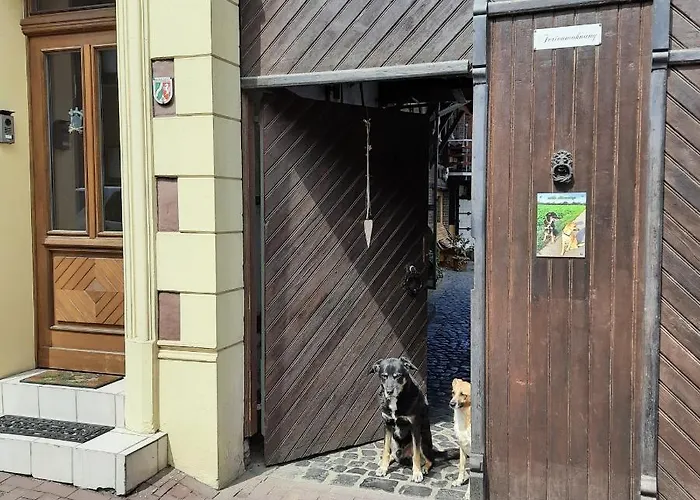 Ferienwohnung Hahnenblick Apartament *