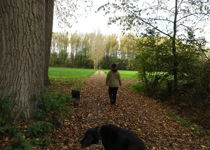 Apartament Ferienwohnung Hahnenblick Waldfeucht